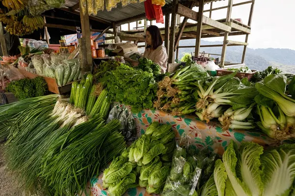 stock image Fruit and vegetables market in Borneo Malaysia