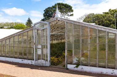 Portekiz 'in Ponta Delgada Azores adalarında ananas yetiştiren sera.