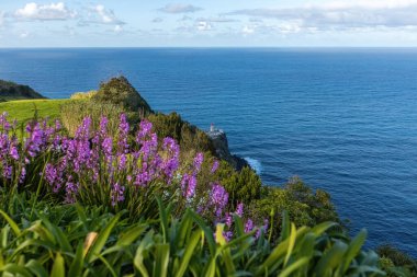 Okyanus manzaralı Azores adalarındaki deniz feneri ve arka planda Portekiz 'deki mavi çan çiçekleri.