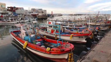 Jeju Güney Kore limanında balıkçı tekneleri.