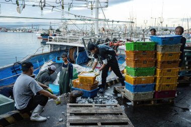 Güney Kore 'deki Jeju adasında çalışan balıkçılar.