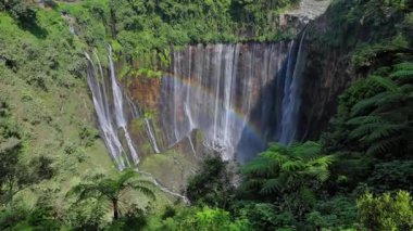 Endonezya 'daki Tumpak Sewu şelalesinin nefes kesici manzarası