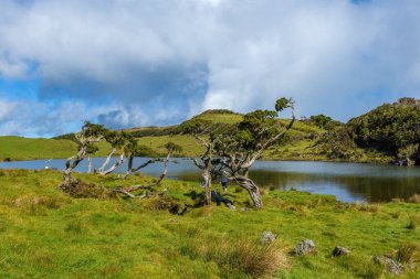 Pico Adası Azores Portekiz 'de Lagoa do Capitao Gölü