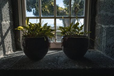 Two flower potson the stone massive windowsill in the old house clipart