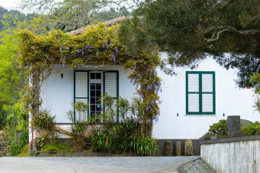 Portekiz 'in Azores adalarında sarmaşık bitkileri olan güzel beyaz bir ev.