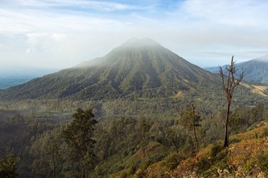 Endonezya 'nın Java adasında güneş doğarken volkanik yamaç