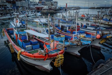Güney Kore 'deki Jeju adasında balıkçı tekneleri.
