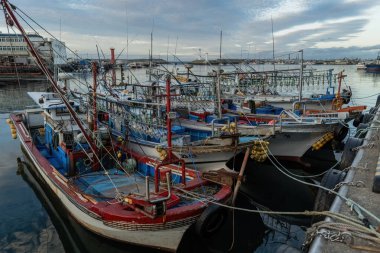 Güney Kore 'deki Jeju adasında balıkçı tekneleri.