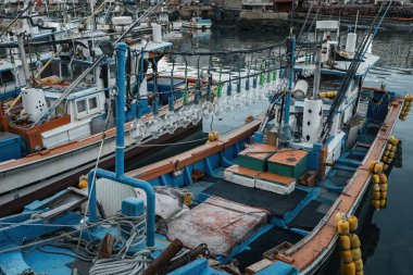 Güney Kore 'deki Jeju adasında balıkçı tekneleri.