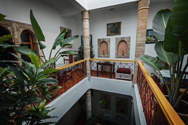 Essaouira Fas 'taki çiçek süslemeli ve beyaz duvarlı eski Riyad evinin iç bahçesi.