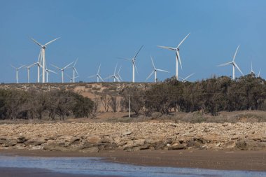 Fas 'taki Atlantik Okyanusu kıyısındaki yel değirmenleri