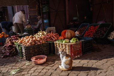Marakkesh Fas 'ın Medine' sindeki sebze dükkanında yerel bir satıcı markette taze ürünler satıyor. Kedi dükkanın yanında oturuyor.
