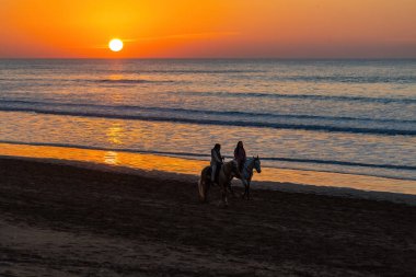 İnsanlar gün batımında sahilde ata biniyorlar. Atlantik kıyısında Essaouira Fas.