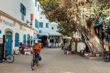 Essaouira Fas 'taki eski şehir Medine' deki büyük ağaç kafeteryası.