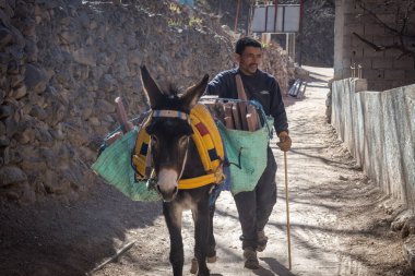 Fas 'ta dağ köyünde eşeği olan berber adam.