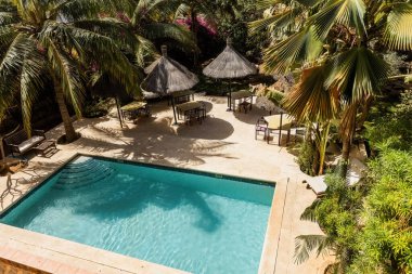 Otelin güneşli yüzme havuzu, şemsiyeler ve palmiye ağaçları.