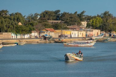 Teknedeki balıkçı St. Louis, Senegal 'de ağlarla balık yakalıyor.