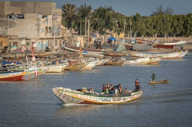 Teknedeki balıkçı St. Louis, Senegal 'de ağlarla balık yakalıyor.