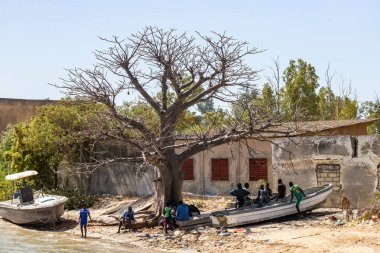 Büyük Baobab ağacı ve Afrikalı balıkçılar Joal Fadiouth adasında tekneleri olan Senegal