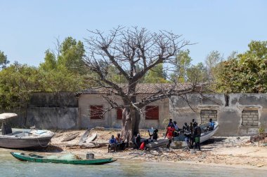Büyük Baobab ağacı ve Afrikalı balıkçılar Joal Fadiouth adasında tekneleri olan Senegal