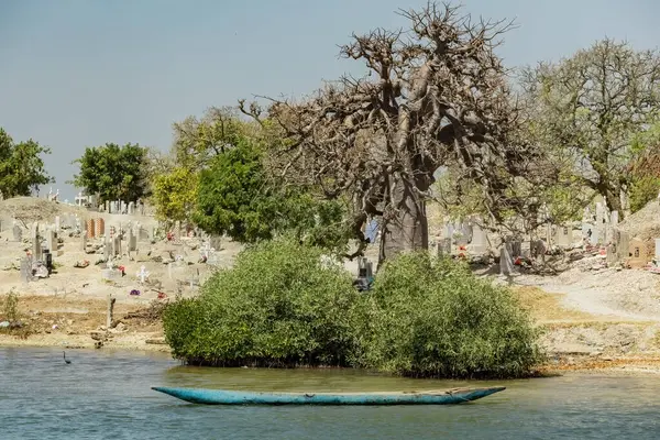 Senegal 'deki Joal Fadiouth' daki deniz kabuğu adasındaki mezarlığa bak.
