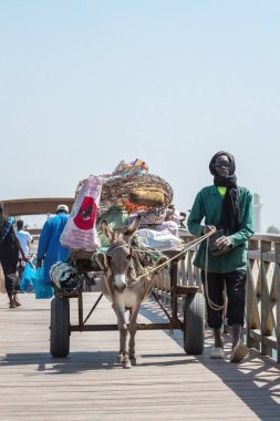 Senegali 'li bir eşek arabasıyla Joal Fadiout Senegal' deki ahşap köprüden geçiyor.