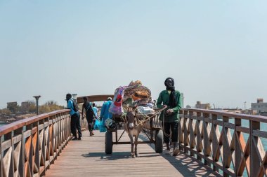 Senegali 'li bir eşek arabasıyla Joal Fadiout Senegal' deki ahşap köprüden geçiyor.