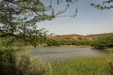 Senegal Atlantik kıyı kasabasında Popenguine Doğa Koruma Alanı