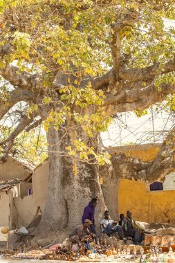 Senegal 'deki Joal Fadiouth kasabasında Baobab ağacının altındaki hediyelik eşya dükkanı.