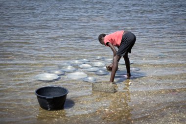 Genç Afrikalı kadın Senegal 'de nehirde bulaşıkçılık yapıyor.