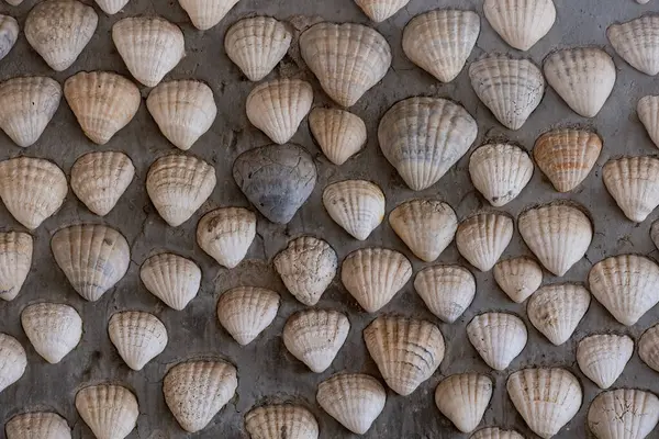 Senegal 'deki Joal Fadiouth adasında deniz kabuğu duvar arkası satılıyor