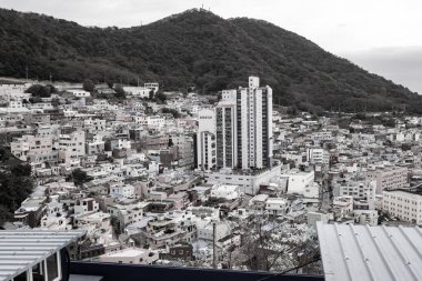 Busan Güney Kore 'deki Gamcheon Kültür Köyü