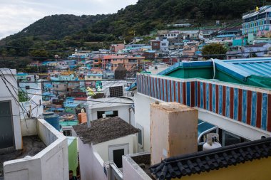 Busan Güney Kore 'deki Gamcheon Kültür Köyü