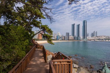 Busan Güney Kore 'de gökdelenli Haeundae Sahili manzarası