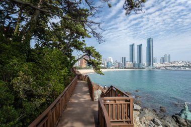 Busan Güney Kore 'de gökdelenli Haeundae Sahili manzarası