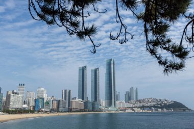 Busan Güney Kore 'de gökdelenli Haeundae Sahili manzarası