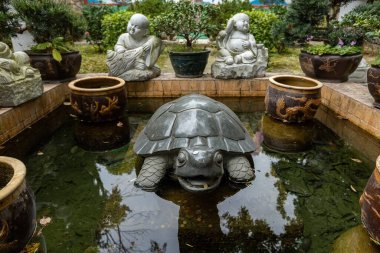 Macau 'daki Çin tapınağındaki kaplumbağa göleti.