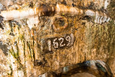 Barra Kalesi iç mimari detayları 1629 yılında Portekizliler tarafından Macau şehrinde inşa edildi.
