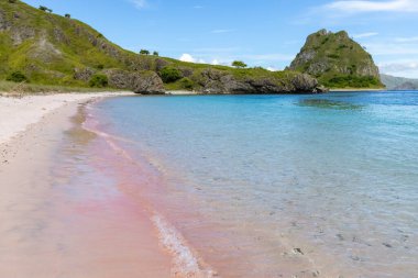 Komodo Adası 'ndaki Pembe Plaj Labuan Bajo Endonezya