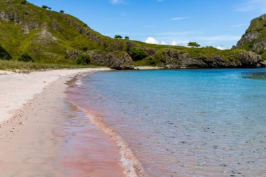 Komodo Adası 'ndaki Pembe Plaj Labuan Bajo Endonezya