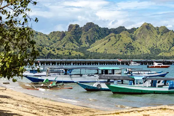 Komodo Ulusal Parkı Labuan Bajo Endonezya 'daki tekneler.