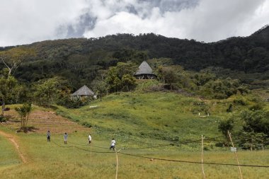 Wae Rebo geleneksel köyü Endonezya 'nın uzak Endonezya köyü Labuan Bajo ile kaplı çatıları.
