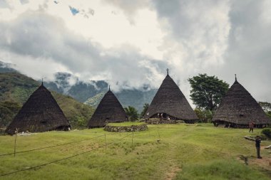 Wae Rebo geleneksel köyü Endonezya 'nın uzak Endonezya köyü Labuan Bajo ile kaplı çatıları.