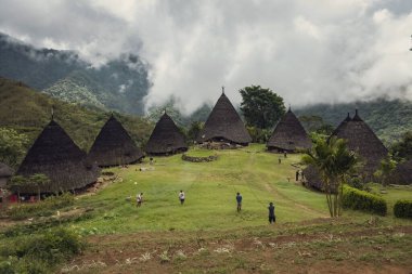 Wae Rebo geleneksel köyü Endonezya 'nın uzak Endonezya köyü Labuan Bajo ile kaplı çatıları.