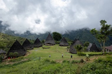 Wae Rebo geleneksel köyü Endonezya 'nın uzak Endonezya köyü Labuan Bajo ile kaplı çatıları.