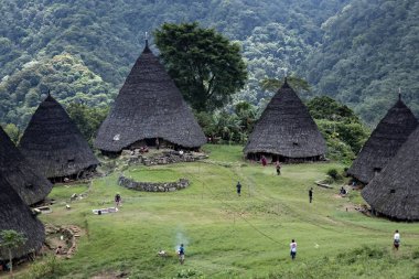 Wae Rebo geleneksel köyü Endonezya 'nın uzak Endonezya köyü Labuan Bajo ile kaplı çatıları.