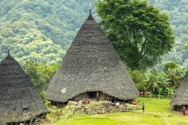 Wae Rebo geleneksel köyü Endonezya 'nın uzak Endonezya köyü Labuan Bajo ile kaplı çatıları.