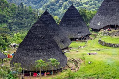 Wae Rebo geleneksel köyü Endonezya 'nın uzak Endonezya köyü Labuan Bajo ile kaplı çatıları.