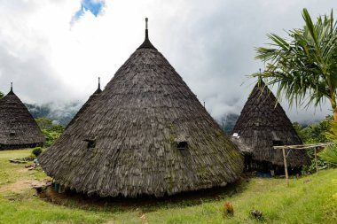 Wae Rebo geleneksel köyü Endonezya 'nın uzak Endonezya köyü Labuan Bajo ile kaplı çatıları.