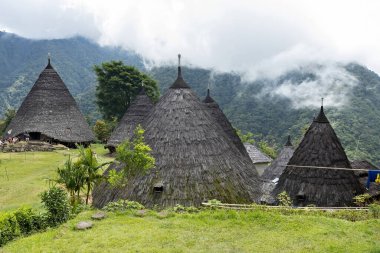 Wae Rebo geleneksel köyü Endonezya 'nın uzak Endonezya köyü Labuan Bajo ile kaplı çatıları.